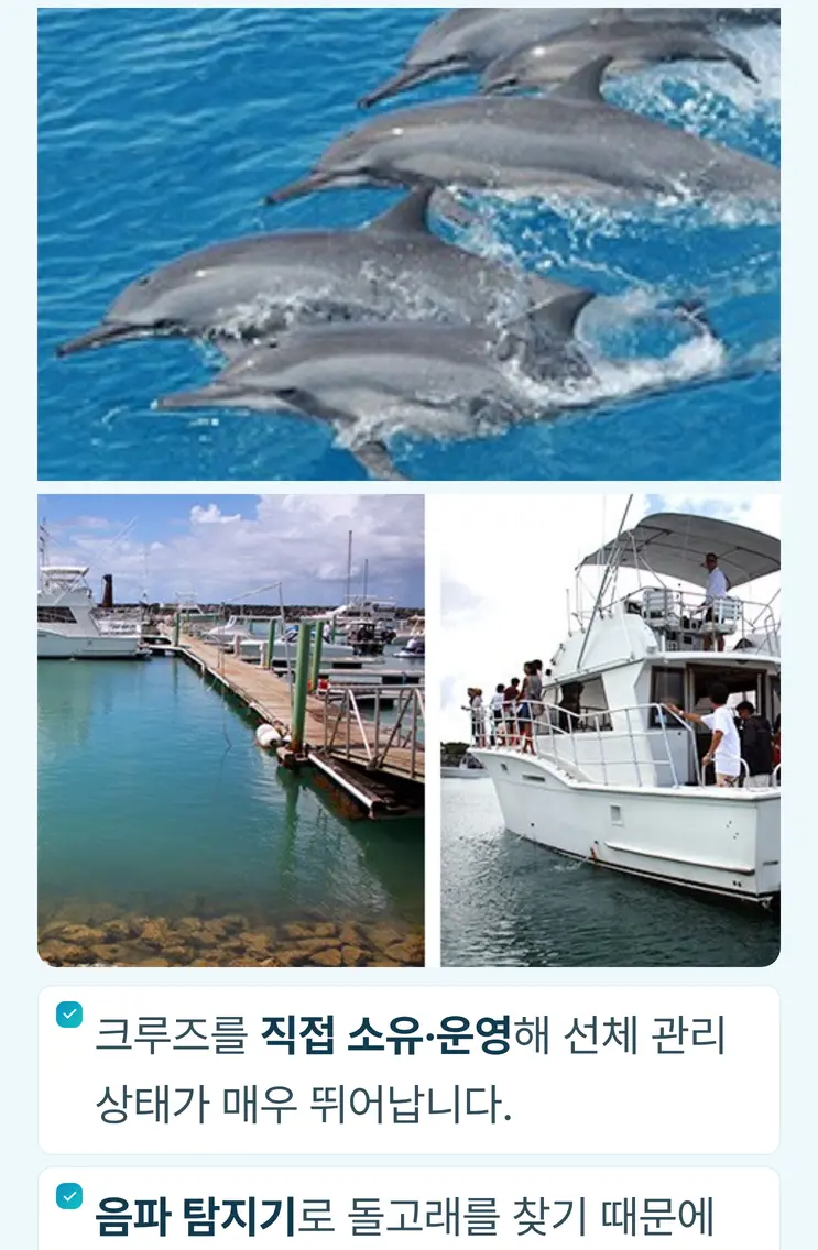 d8a2e407-d42e-4b92-a113-59cb4b95bf64.webp