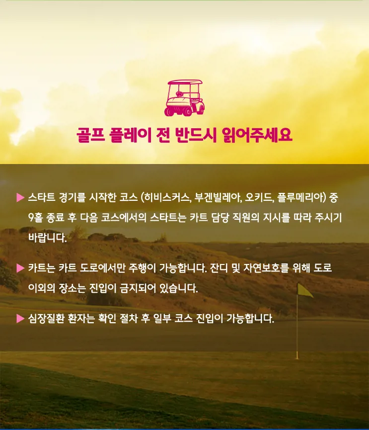 078e60c8-ede2-49ea-87f7-3216a4b8a900