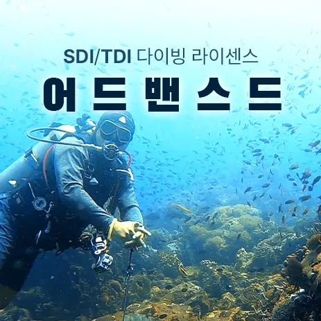 괌 어드밴스드 자격증