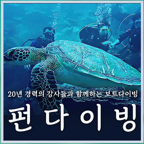 괌 스쿠버 펀다이빙