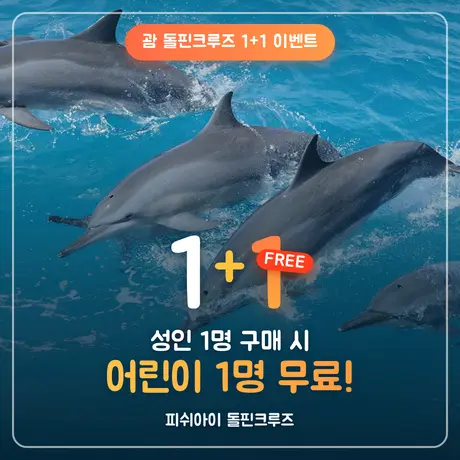 괌 피쉬아이 돌핀투어+전망대+런치