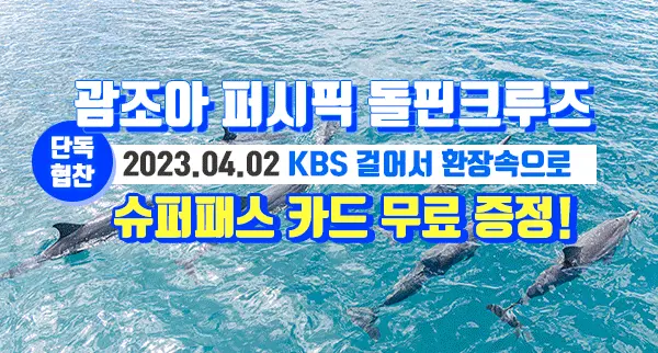 타임딜