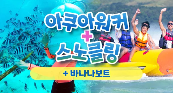 타임딜